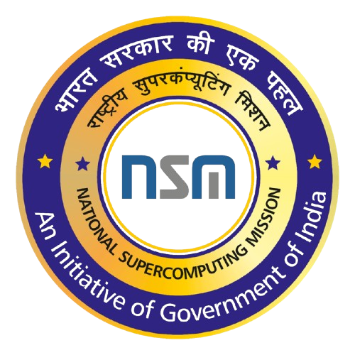 NSM Logo